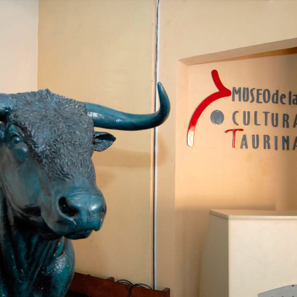 Museo de la Cultura Taurina